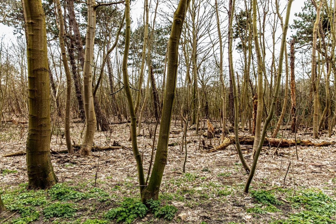 Hof Aan Zee Villa Dishoek Bagian luar foto