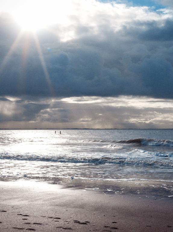 Hof Aan Zee Villa Dishoek Bagian luar foto